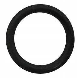 Oring 21 89x2 6 mm fiat 14457680