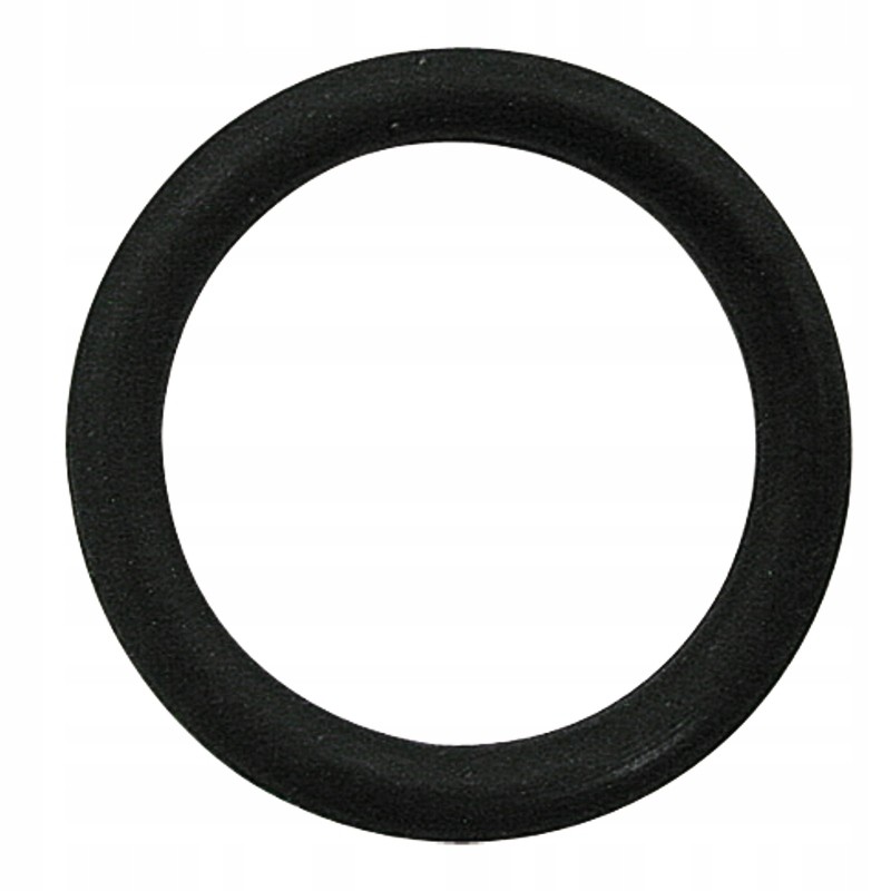Oring 21 89x2 6 mm fiat 14457680