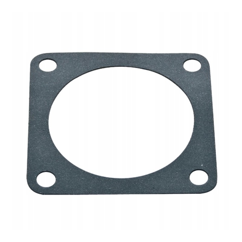 C 330 gear lever seal