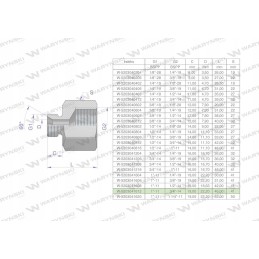 Inch differential sleeve AB 1 male x 3 4 bsp