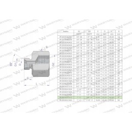 Inch differential sleeve AB 1 male x 3 4 bsp