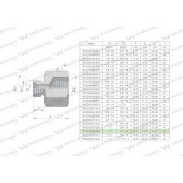 Inch differential sleeve AB 1 male x 1 2 bsp