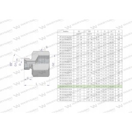 Inch differential sleeve AB 3 4gz x 1 bsp