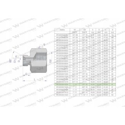 Inch differential sleeve AB 1 male x 1 4 bsp