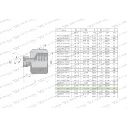 Inch differential sleeve AB 1 male x 3 8 bsp