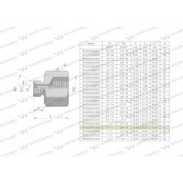 Inch differential sleeve AB 1 male x 3 8 bsp