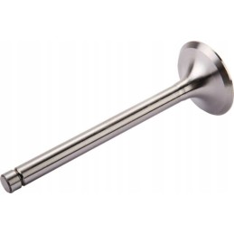 Zetor intake valve 69010555