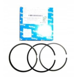 Set of engine rings fi 100 new holland 3 rings