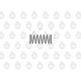 Clutch spring small C 385 original Ursus