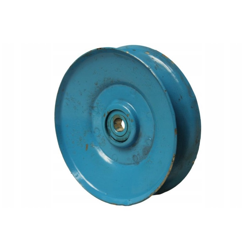 Neptune pulley star tensioner pulley