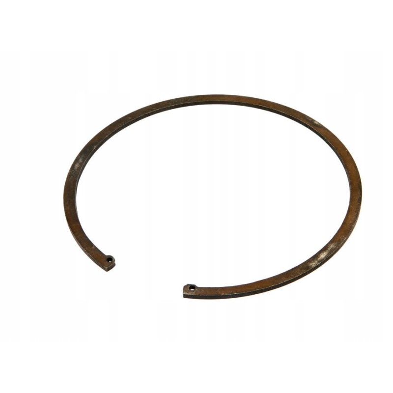 Pis06020002 internal seger ring