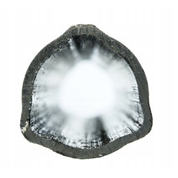 External triangular pipe 43x3mm length 67 2cm d