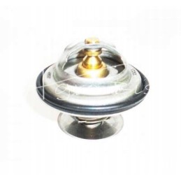 Fendt TV 165 87 thermostat