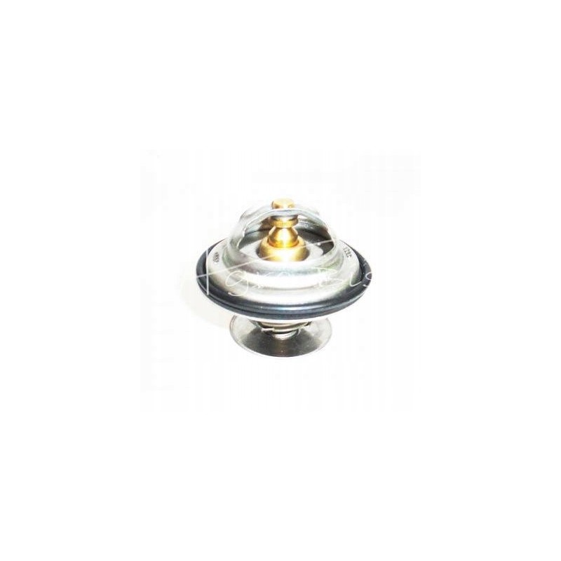 Fendt TV 165 87 thermostat