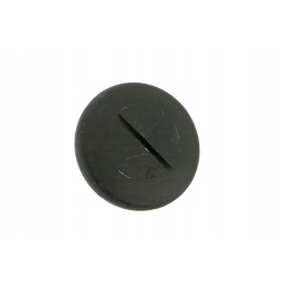 6005024531 side window screw
