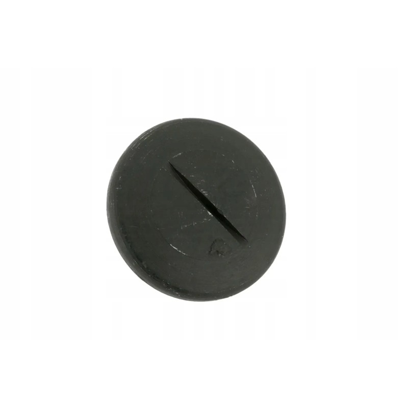 6005024531 side window screw