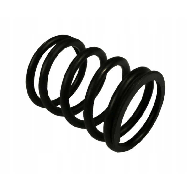 Outer valve spring c 385 original 89005501
