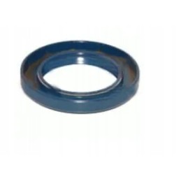 Sealing ring Renault 6005009880