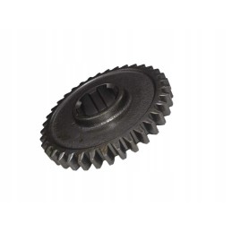 Gear wheel 36 teeth wladimirec t 25 737120