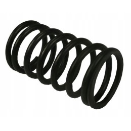 Internal valve spring C 385 original Ursus