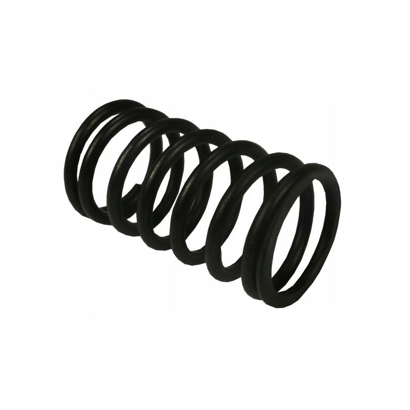 Internal valve spring C 385 original Ursus