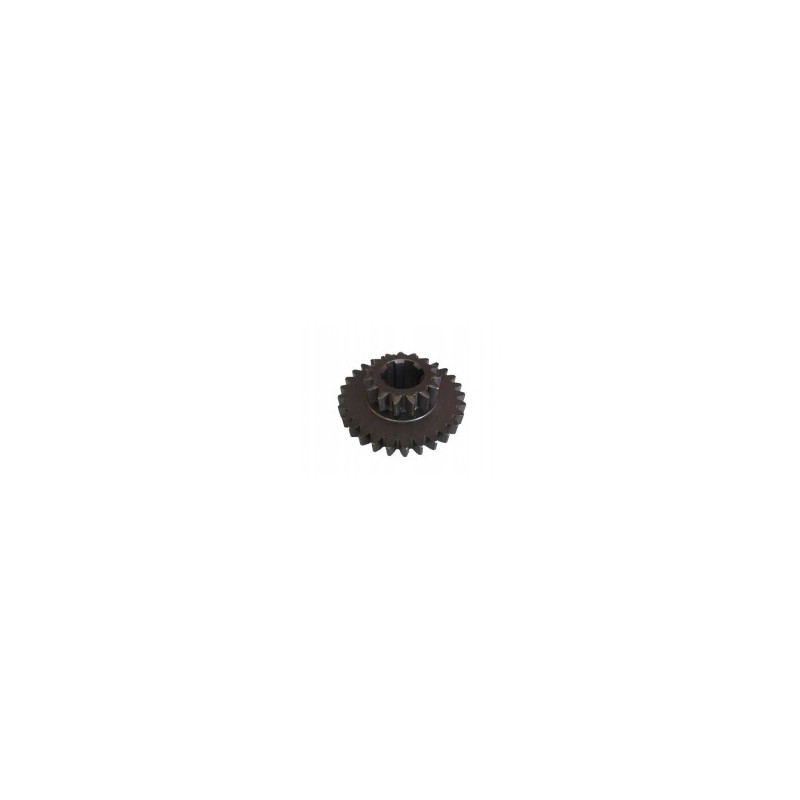 Double gear gear wheel 229 15 t 25