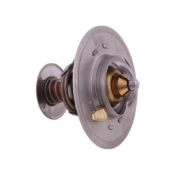 Thermostat 2856543 Steyr New Holland Case Polmo