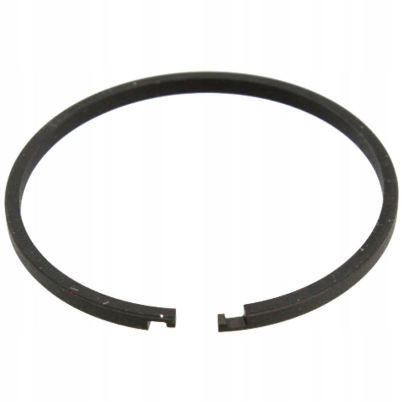 Ring segment 3384502m1 70815762