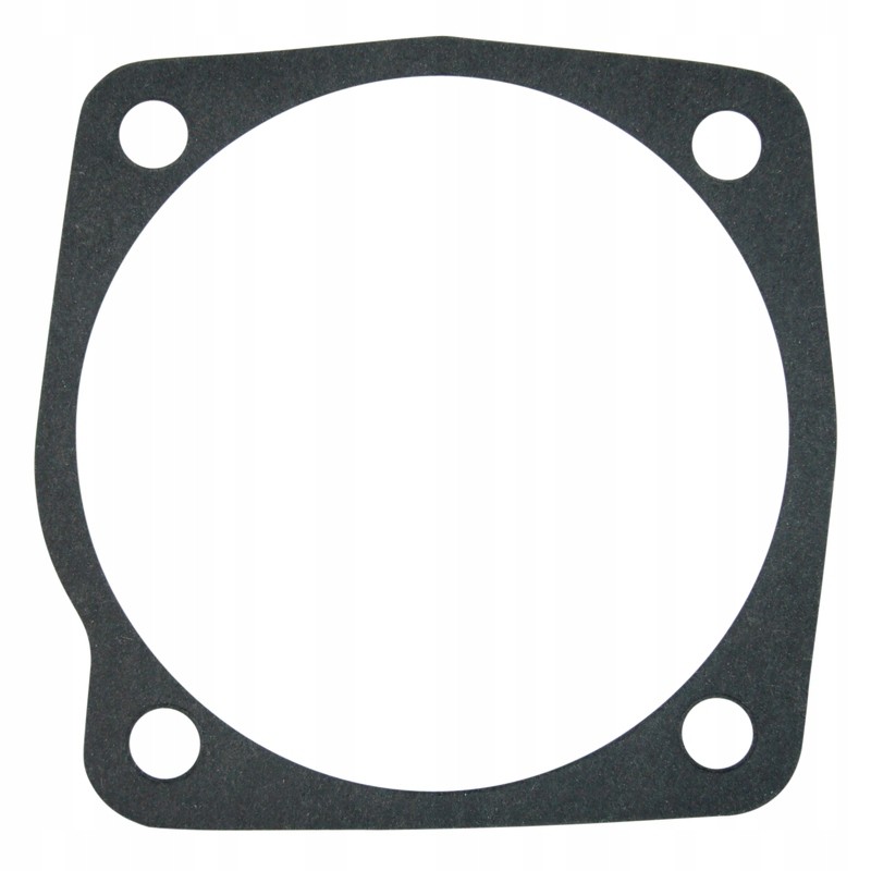 Rear axle seal 80153087