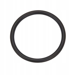 Oring cnh new holland 9991976