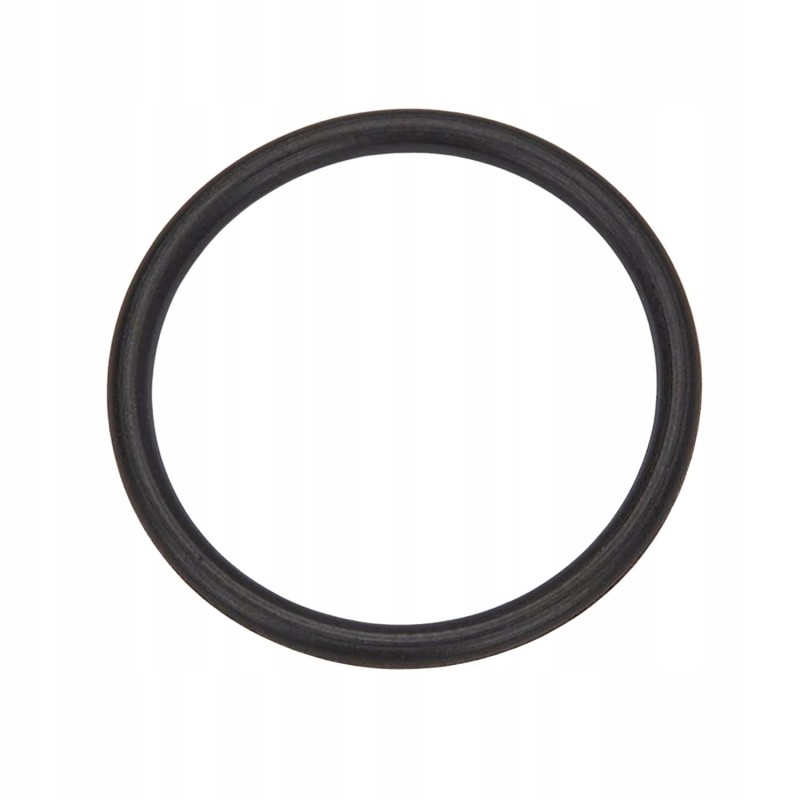 Oring cnh new holland 9991976