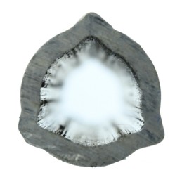 Internal triangular pipe 26 5x3 5mm, length 51 4c