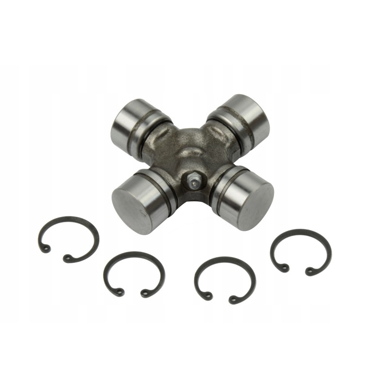 Polish Teutonic Knight 27x81 8