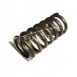 Zetor valve spring