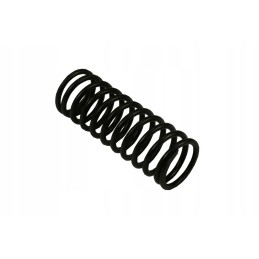 Internal valve spring c330 original 50001341