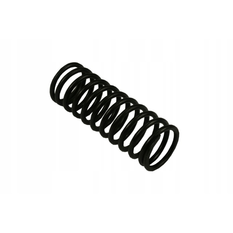 Internal valve spring c330 original 50001341