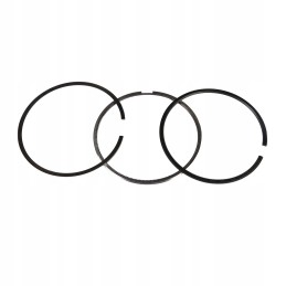 Cnh new holland ring set 500055470