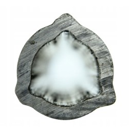 Internal triangular pipe 26 5x3 5mm, length 71 4c