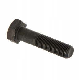 Screw m12x1 25x50 din93 ursus c 385