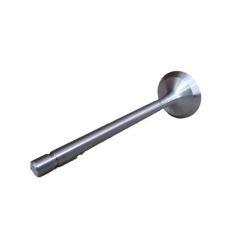 Agro mar intake valve of the t 25 wladymirec engine