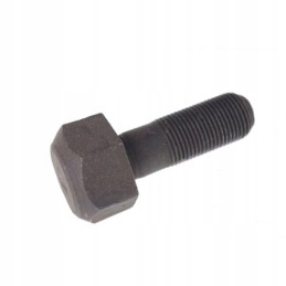 Mtz pulley screw 501005054