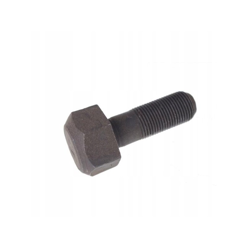 Mtz pulley screw 501005054