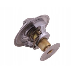 Thermostat 2485613 Landini Polmo