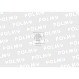 Thermostat 2485613 Landini Polmo