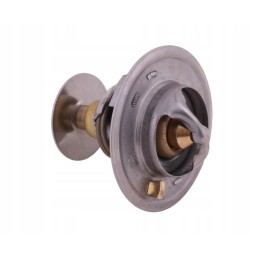 Thermostat 2485613 Landini Polmo