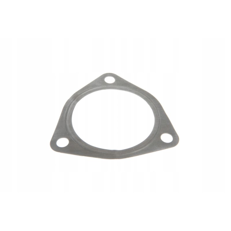 010919 fuel pump seal
