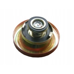 Radiator cap 1698042m91 mf3