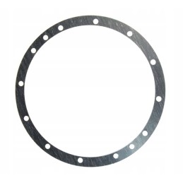 Final drive seal c 385 gambit 88175036 tedel pol