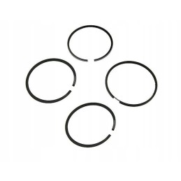Set of piston rings for the 1-piston C 385w engine