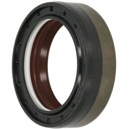 Seal combi sf19 48x65x19 fkm